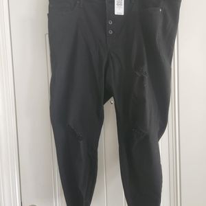 Torrid Jeans